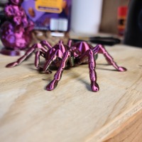 Tarantula Spider-7