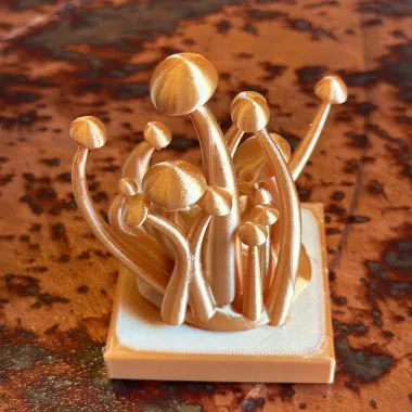 Bunch of mushrooms-0