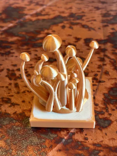 Bunch of mushrooms-0
