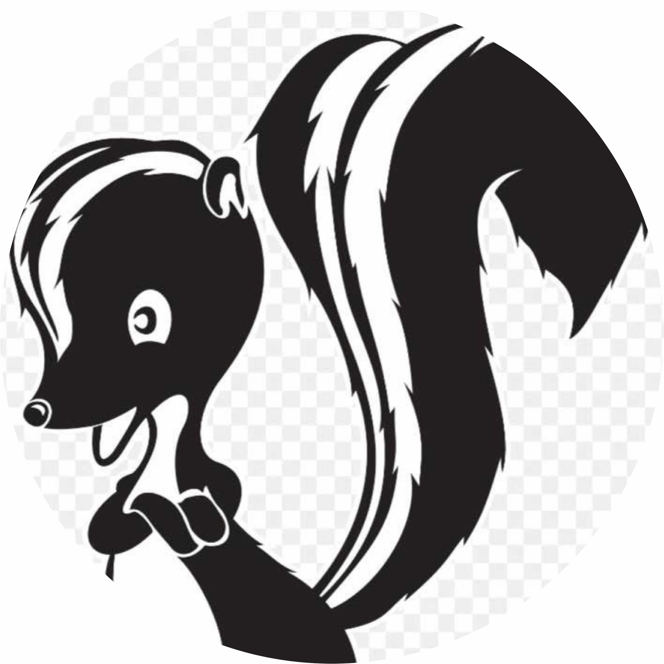 avatar of SkunkWorks