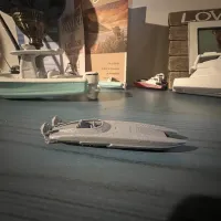Boat speedboat  Cat Race Boat-2