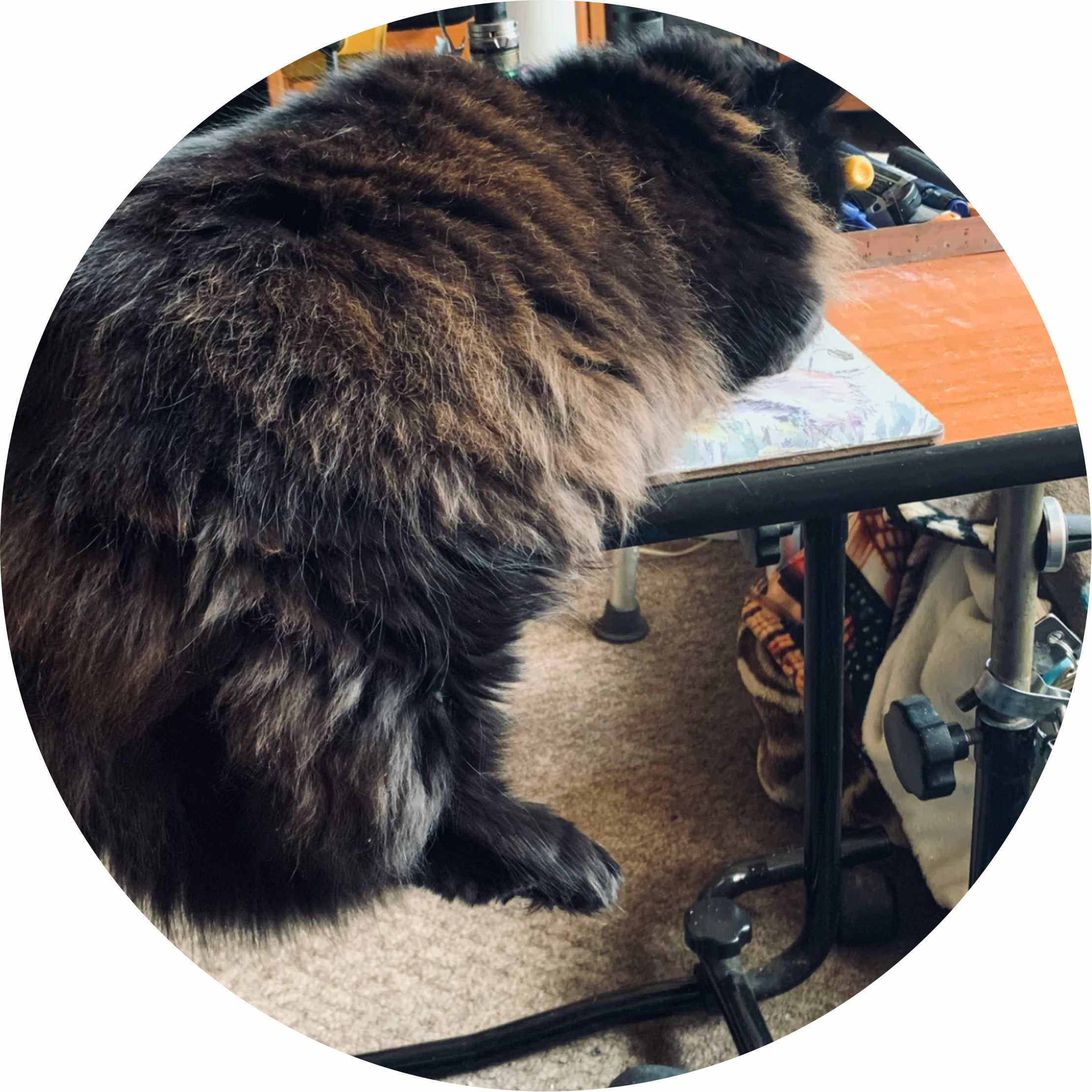 avatar of userdavid22