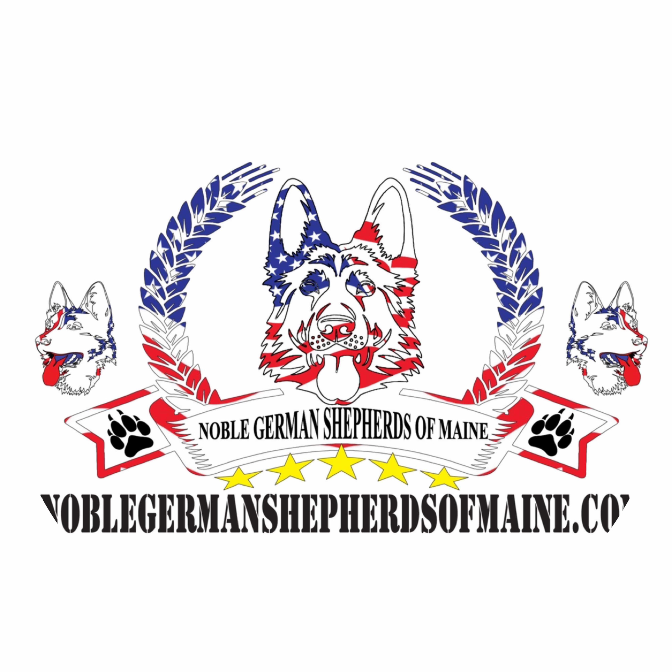 avatar of db Of Maine 