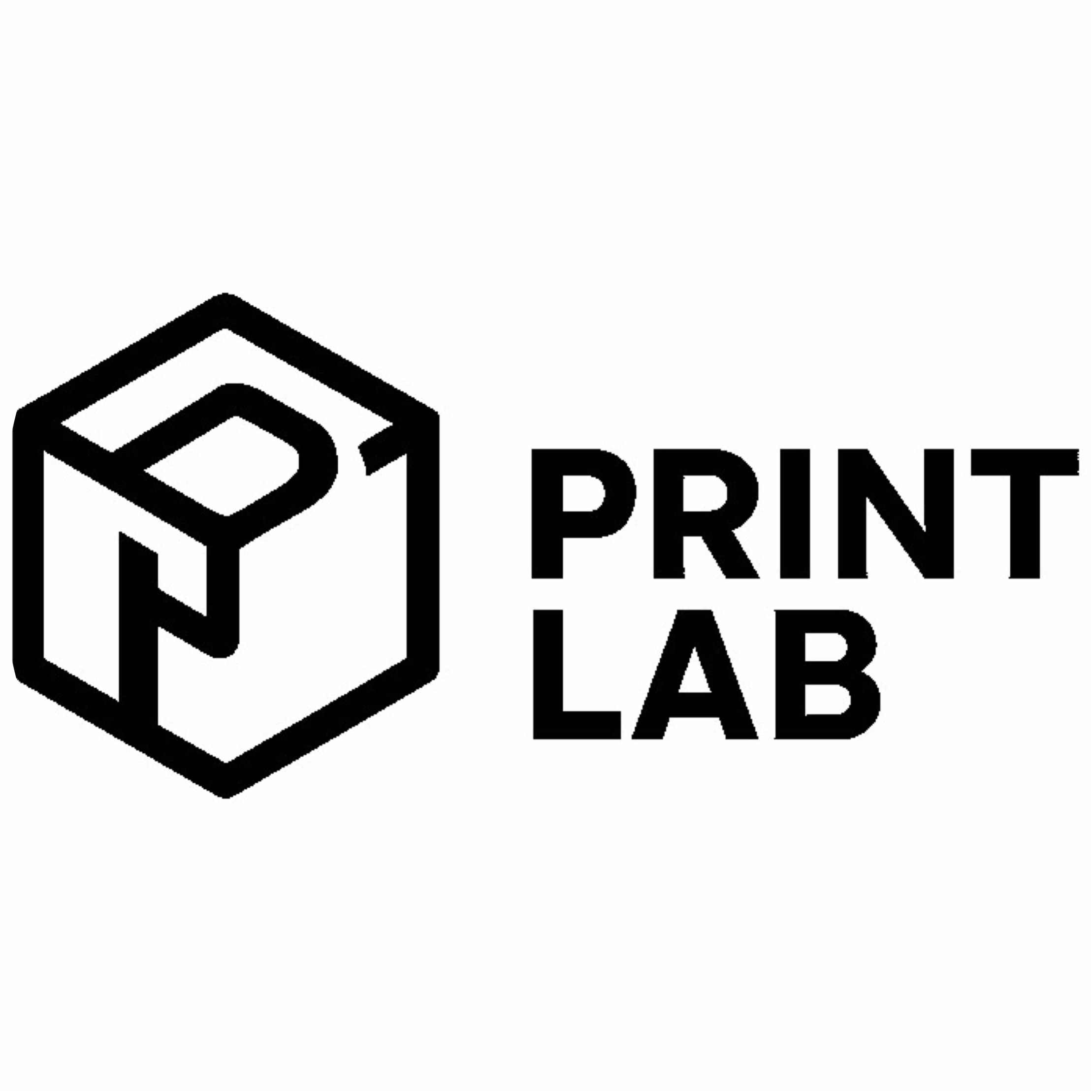 avatar of Print lab4