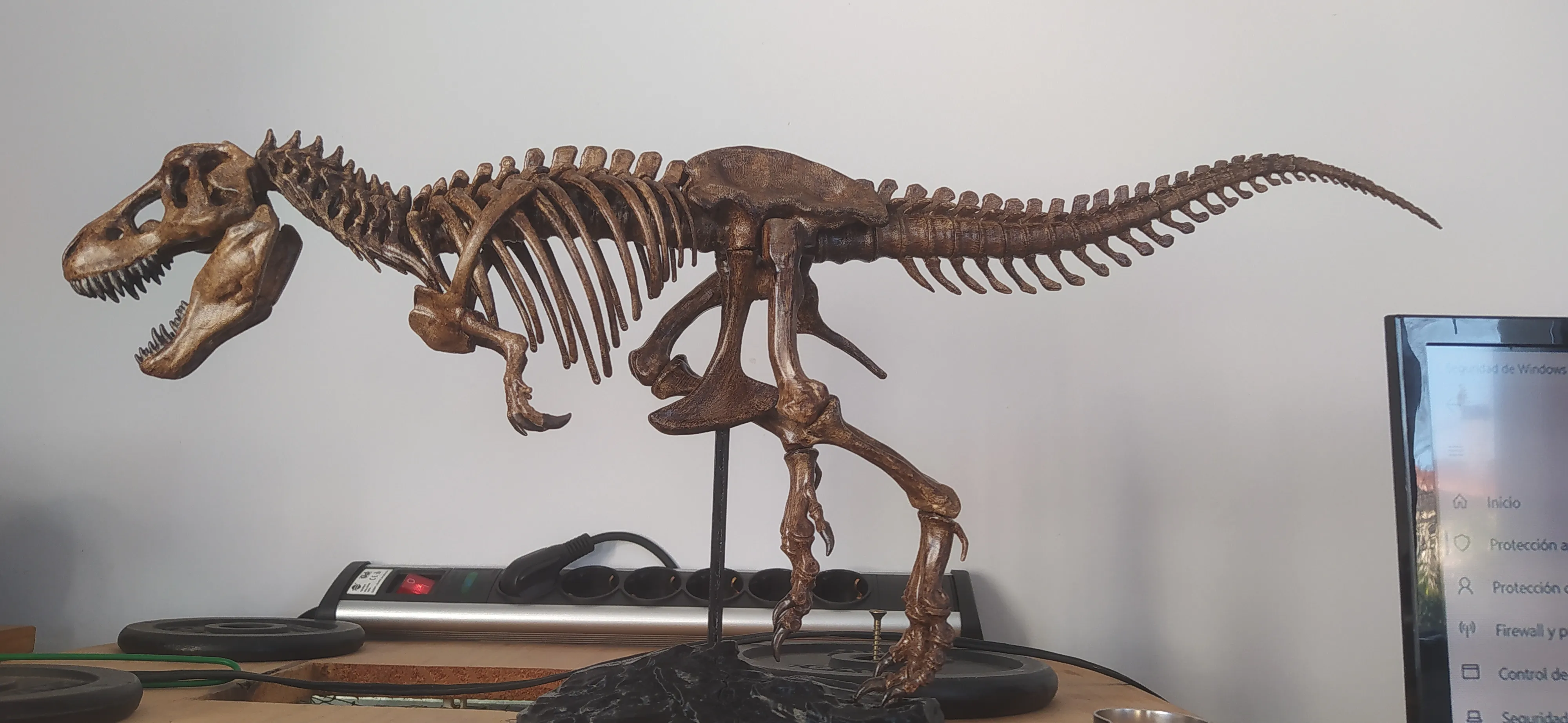 Tyrannosaurus skeleton-1