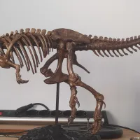 Tyrannosaurus skeleton-1
