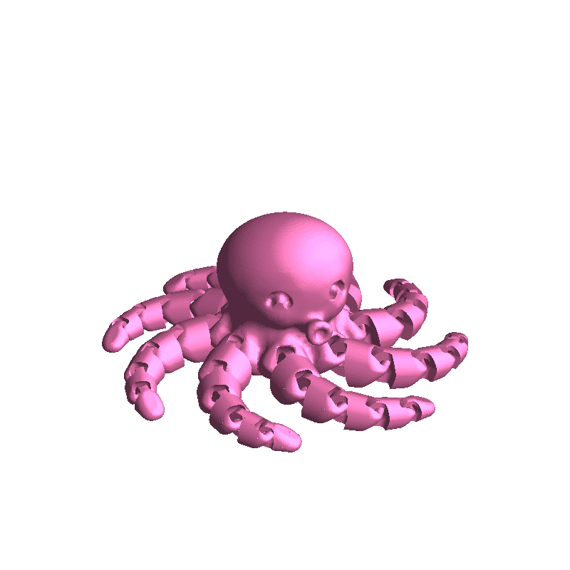 octopus