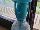 Wasp trap for bottles -4