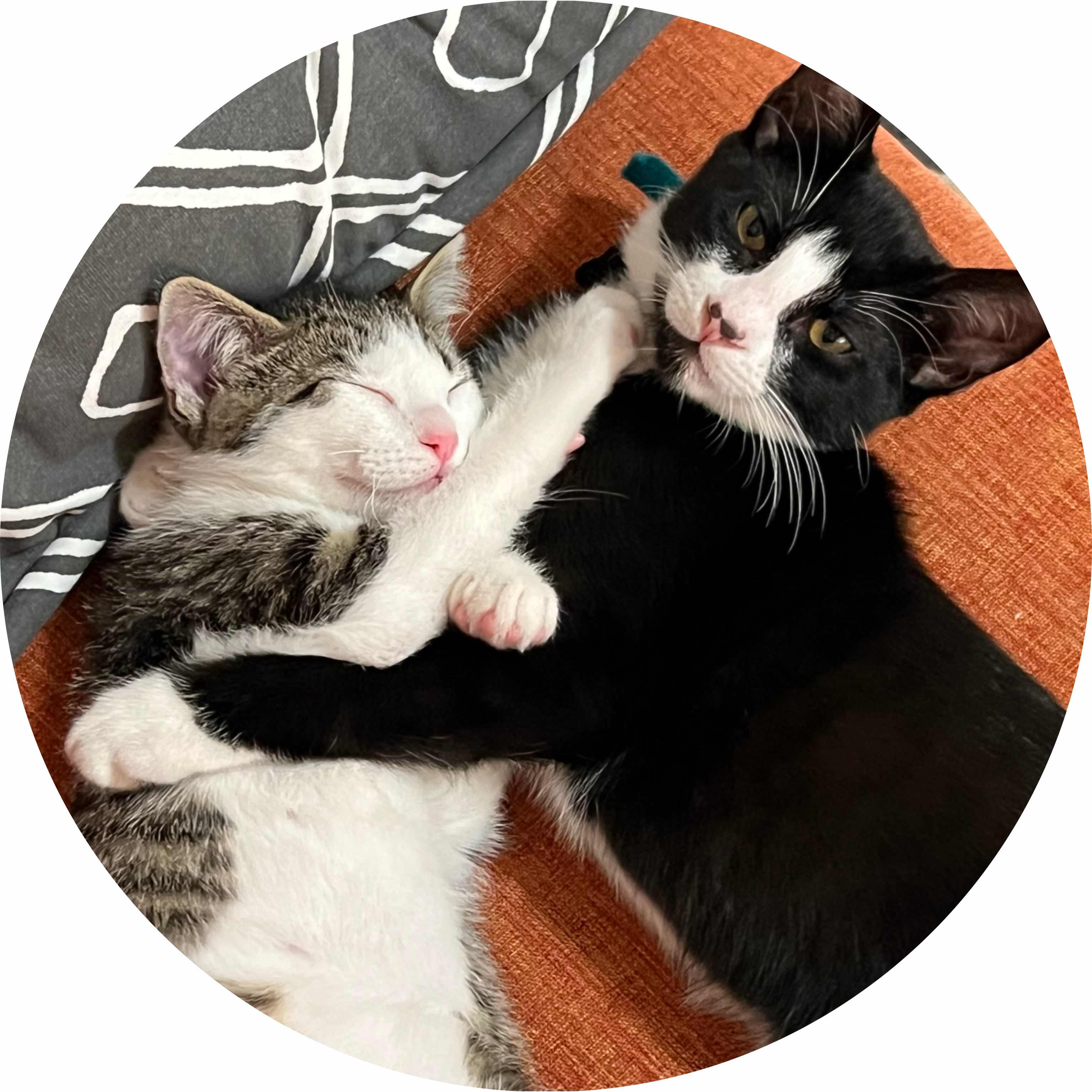 avatar of Jessemaroo