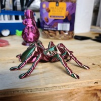 Tarantula Spider-3
