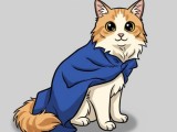 Miguelito Cat-1