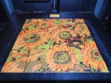 Sunflowers-2