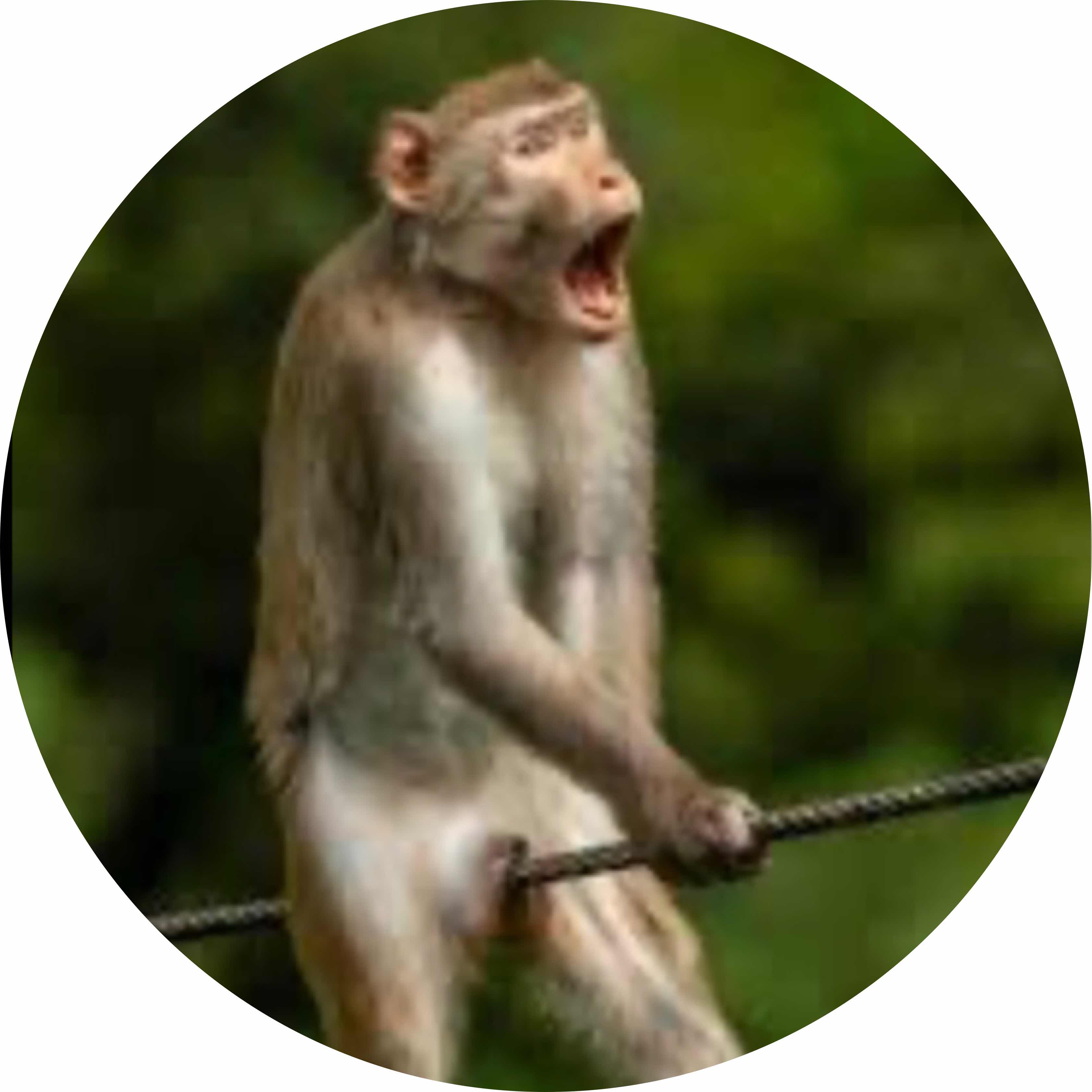 avatar of HawkeyeLand