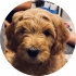 avatar of GabeDaBabe99