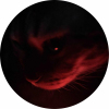 avatar of NADIR NADIRAVICH