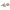maîtresse