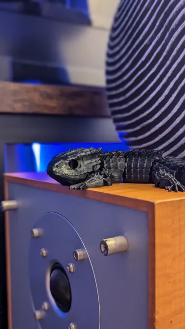 Red Eyed Crocodile Skink-0