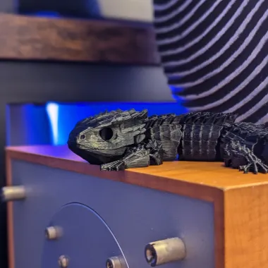 Red Eyed Crocodile Skink-0