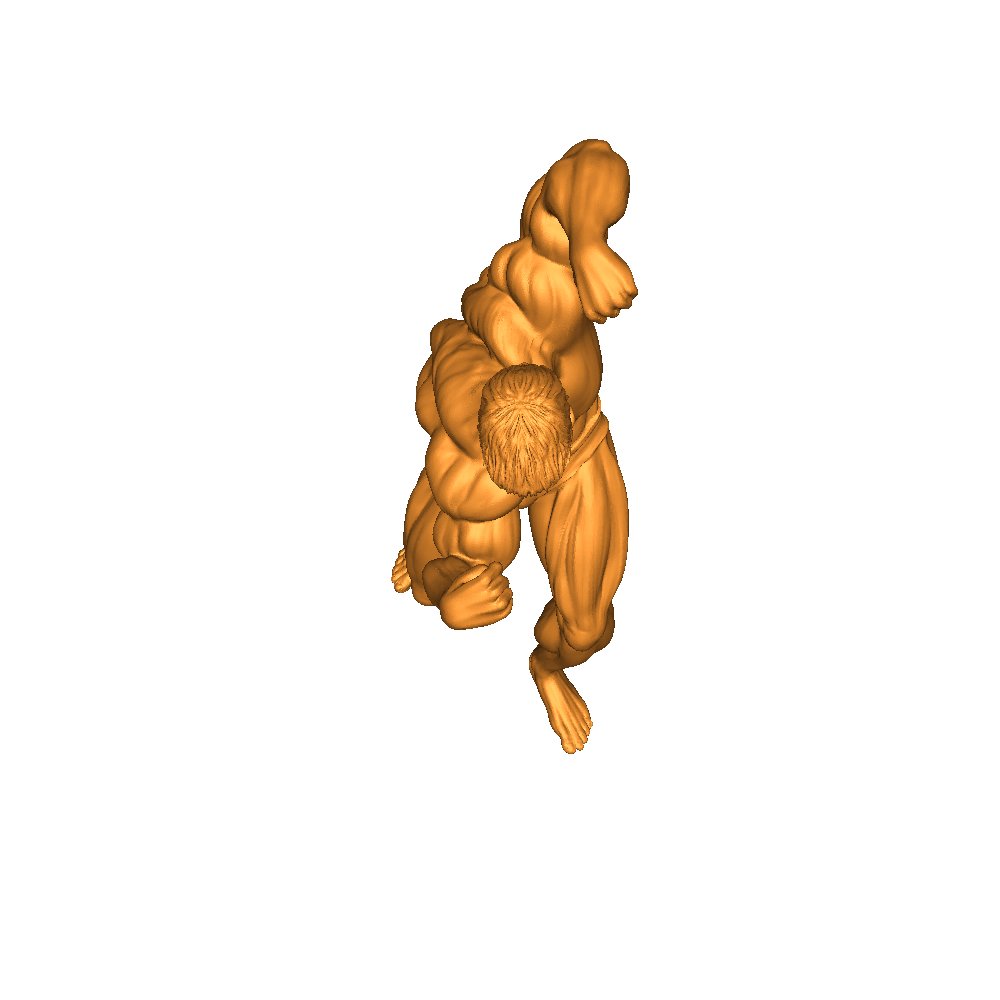 Kong 