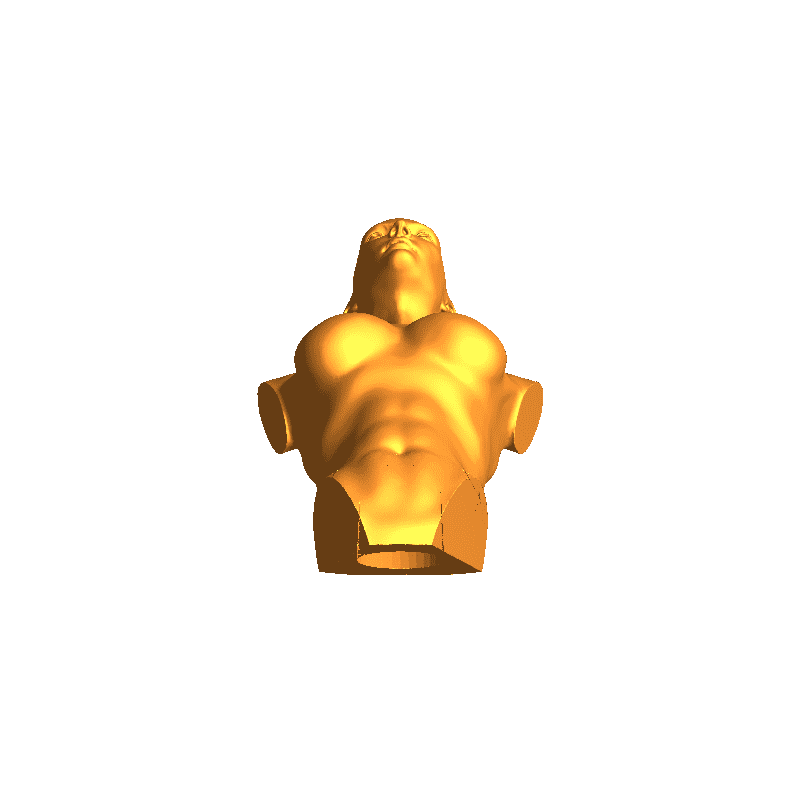 Female Bust