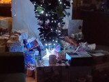 upside down tree-5