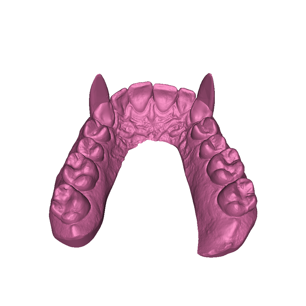 Vampire teeth - Top and bottom