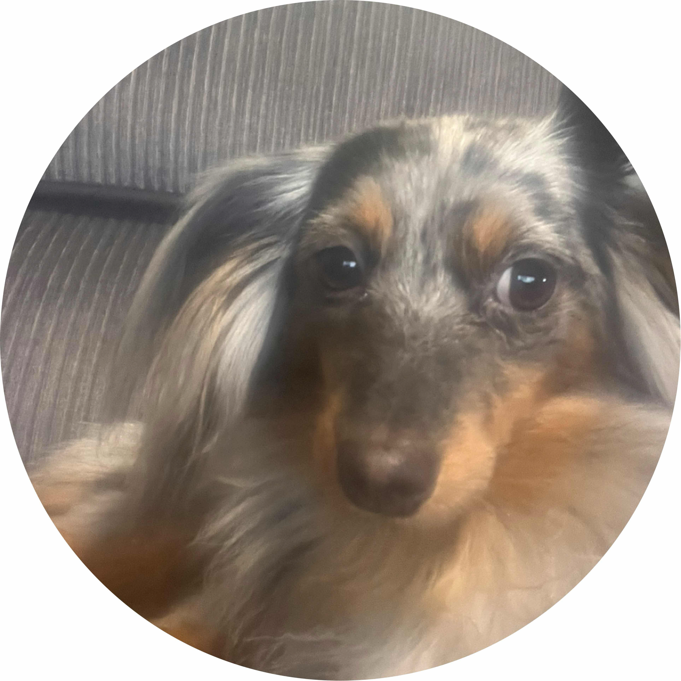 avatar of SARG3280