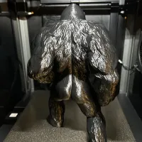 king kong-2