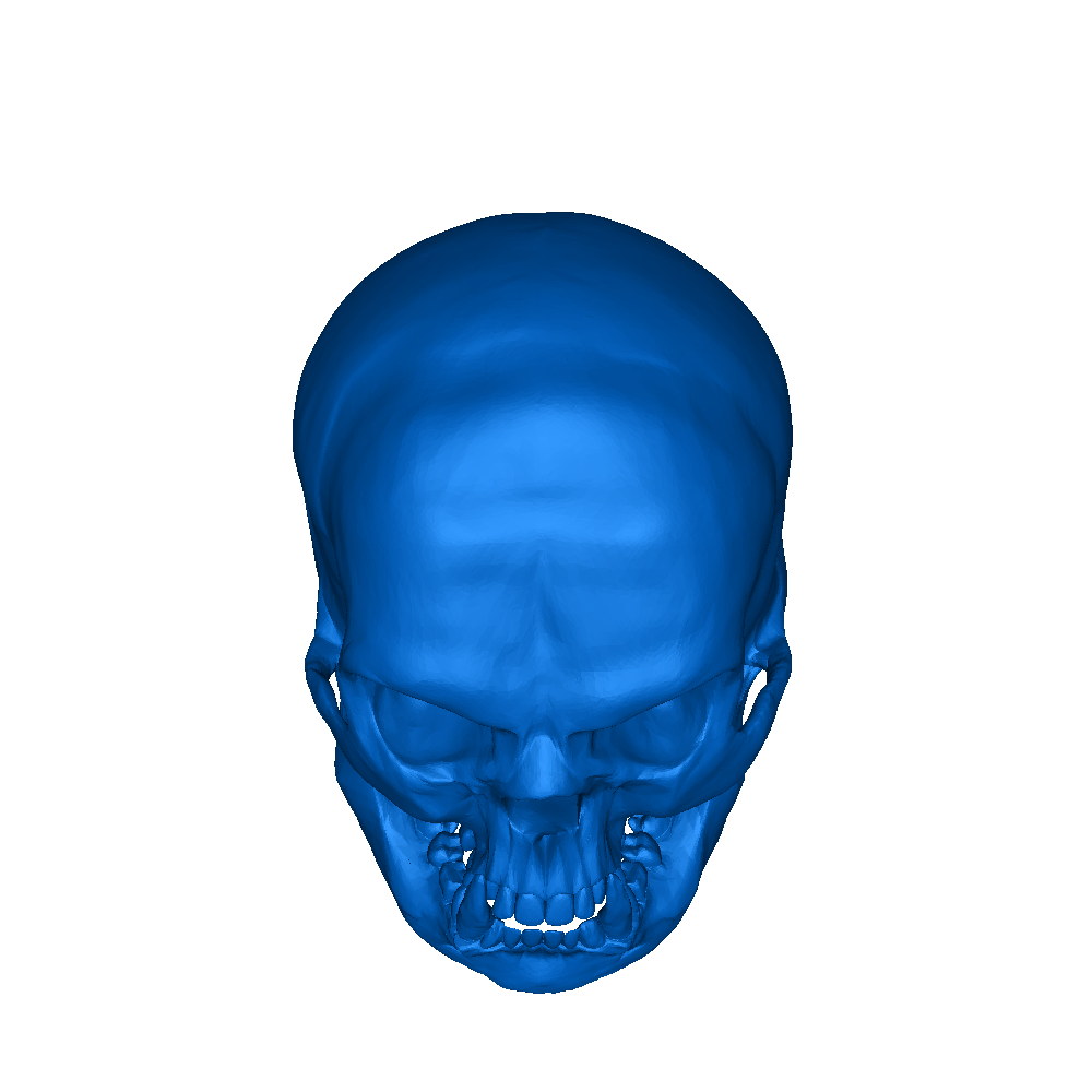 orc skull 