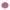 Captain carter shield