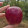 avatar of AppelJ