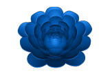 rose2-0