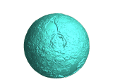 venus-0