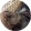 avatar of PiggyPiggy
