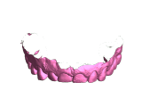 Full Mouth Dental Scan-0