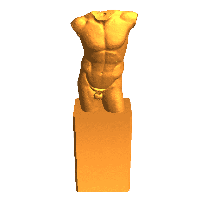 Male torso body