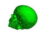 celtic skull-0