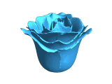 Rosa-0