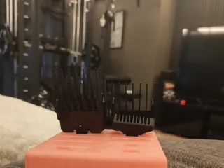 guard holder