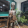 avatar of Dale V1k1ng