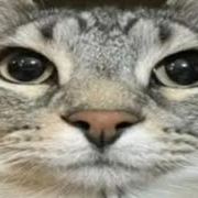 avatar of the person that is