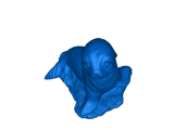 seal blue-0
