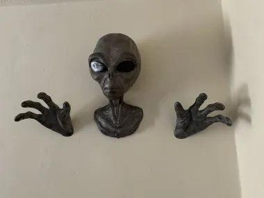 ALIEN WALL MOUNTED - NO SUPPORTS-1
