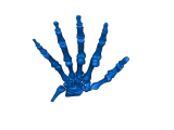 hand bones from NIH-0
