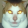 avatar of sewek