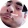 avatar of Wuwuwu