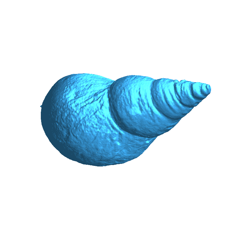 african snail shell scan | 3D models download | Creality Cloud