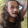 avatar of Esoteric Designs