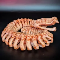 Articulated Flexi Rattle Snake Skeleton – print in place-0