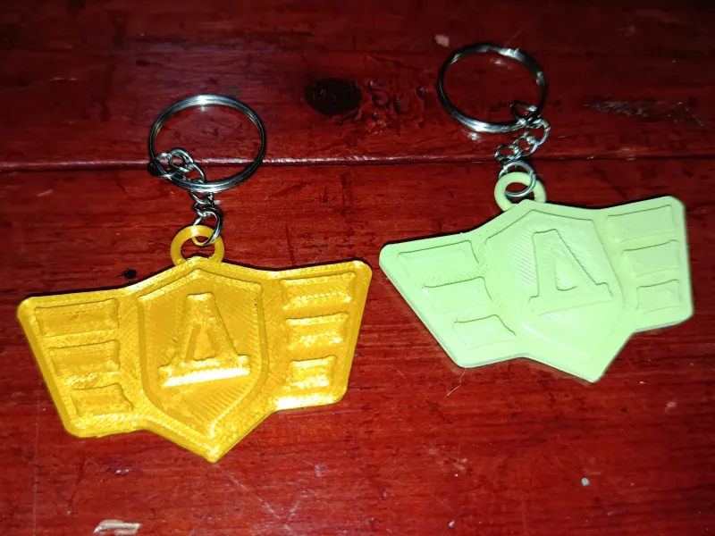 D insignia keychain
